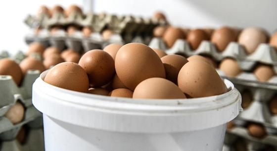 A tojáspiacot is megborította az árstop: hozzánk lengyel áru jön, a magyar pedig mehet külföldre