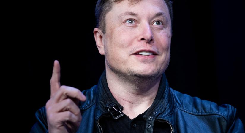 Mészárszékké alakult Elon Musk cége az emberi agyba építhető implantátum miatt