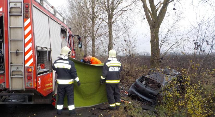 Brutális baleset: fának csapódott autójával és szörnyethalt a TV2 sztárjának testvére – sokkoló fotók a helyszínről