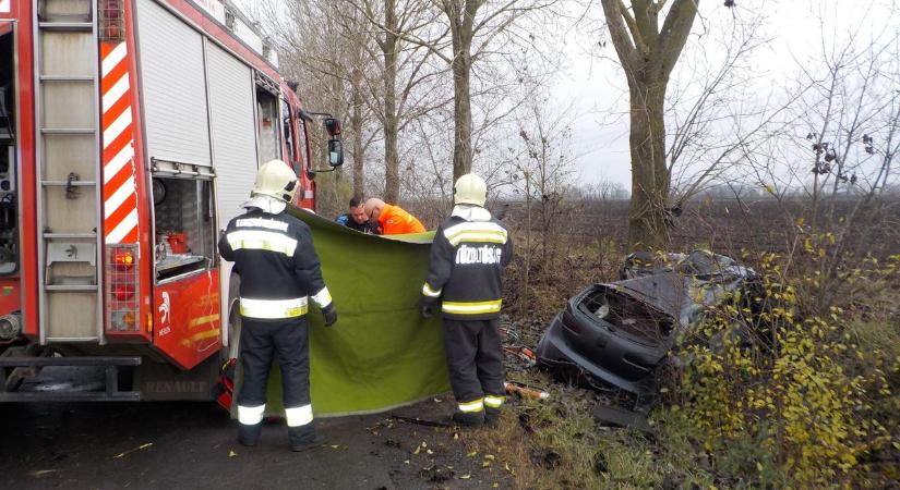 Brutális baleset: fának csapódott autójával és szörnyethalt a TV2 sztárjának testvére – Sokkoló fotók a helyszínről