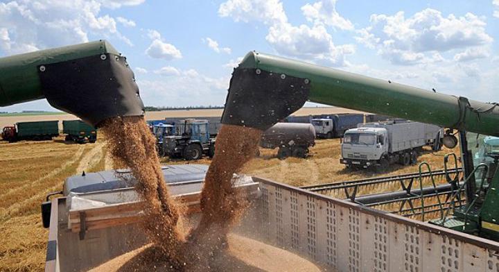 Szviridenko elmondta, mennyi mezőgazdasági terméket exportált Ukrajna idén