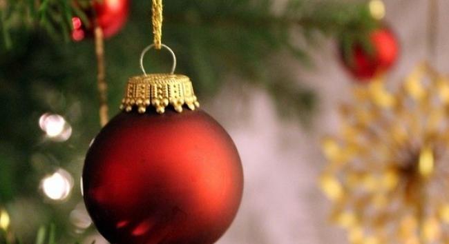 Milyen fenyőfát válasszunk karácsonyfának?