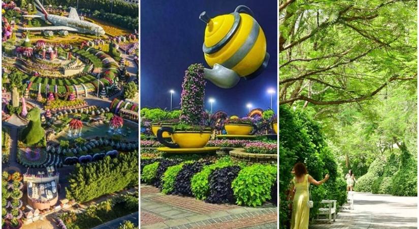 Lélegzetelállító a Dubai Csodák kertje, több óra alatt lehet bejárni