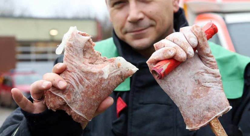 Így néz ki egy emberi kéz, ha petárda robban benne: az állatokat is nagyon megviseli a zajongás