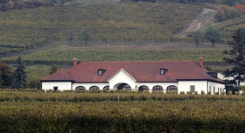Lévai Anikó egykori tokaji cége elvész Vida József bizalmi vagyonkezelőjének homályában