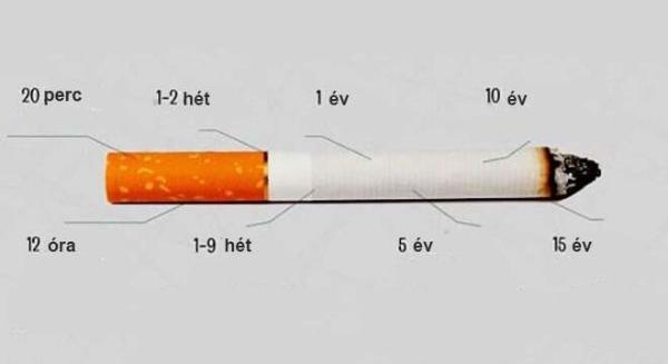 Tudd meg végre, mi történik a testeddel, ha abbahagyod a dohányzást