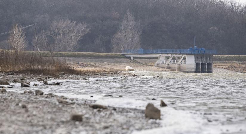 Körülbelül 60 amur hullott el a Pátkai-víztározóban
