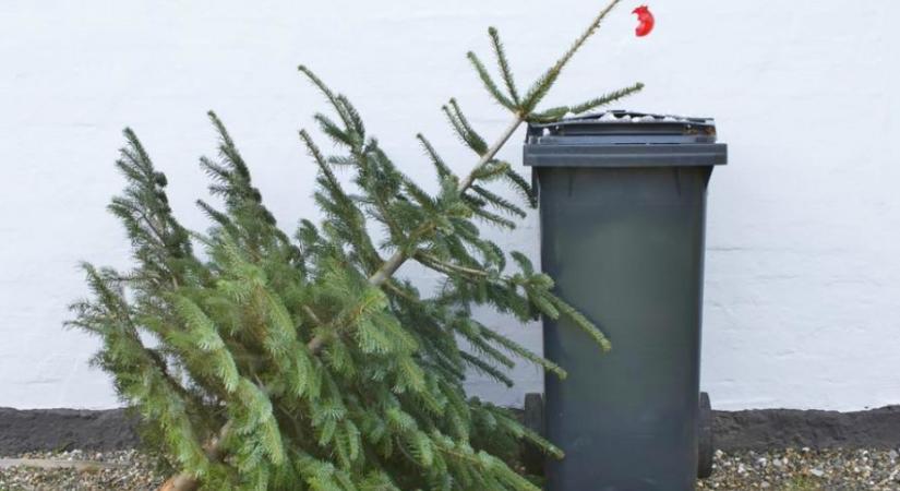 A kidobott karácsonyfa nem vész el, csak átalakul