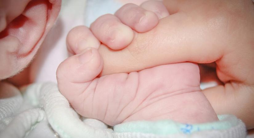 Huszonhat csecsemő született egy nap alatt