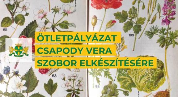 Csapody Vera alakját és munkásságát megidéző műalkotás elkészítésére hidet pályázatot a Józsefvárosi Önkormányzat