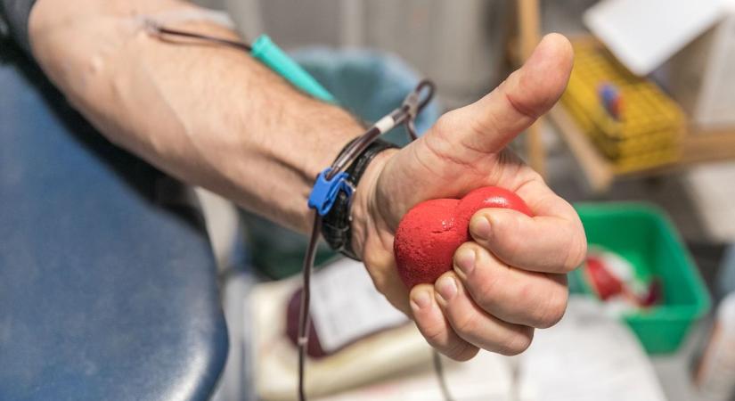 Bábszínház, véradás, hasznos telefonszámok