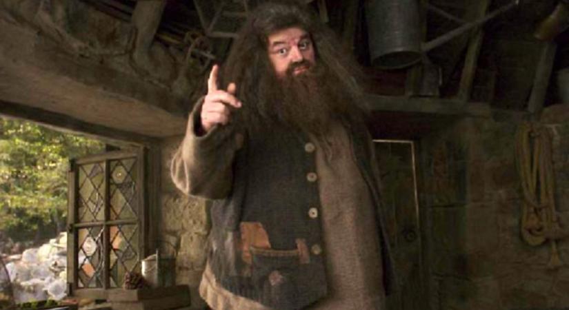 Hagridnak csúfolták, hihetetlen átalakuláson ment keresztül a fiatal nő