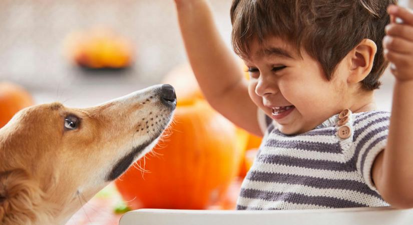 A gyerekek és a kutyák kapcsolata a magyarázat az állatok háziasítására