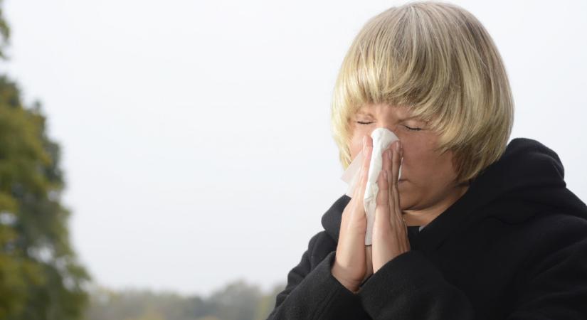 Nehéz időszak vár az allergiásokra: nem elég influenzaszezon, még ez is támad