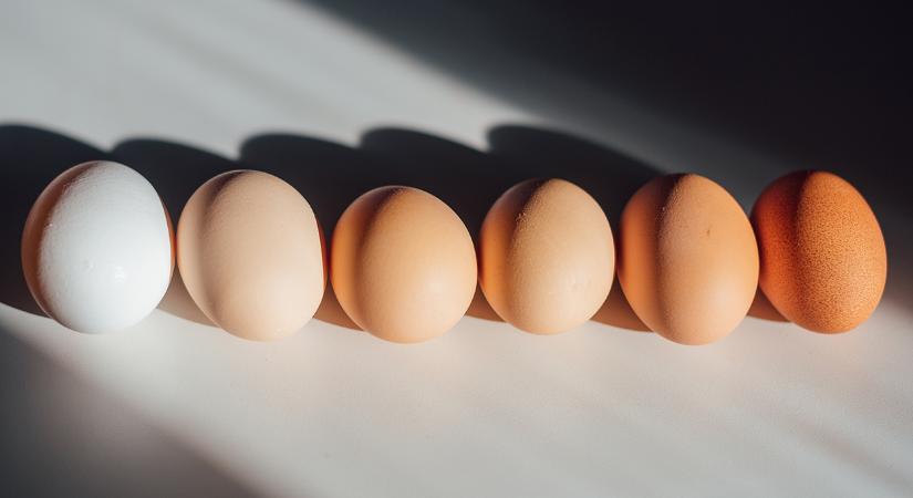 Tényleg használ, ha a tojásból csak a fehérjét eszed meg?
