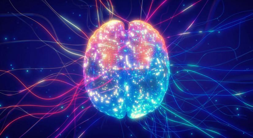 Egy agyi hálózat lehet a kapocs a különböző mentális betegségek között