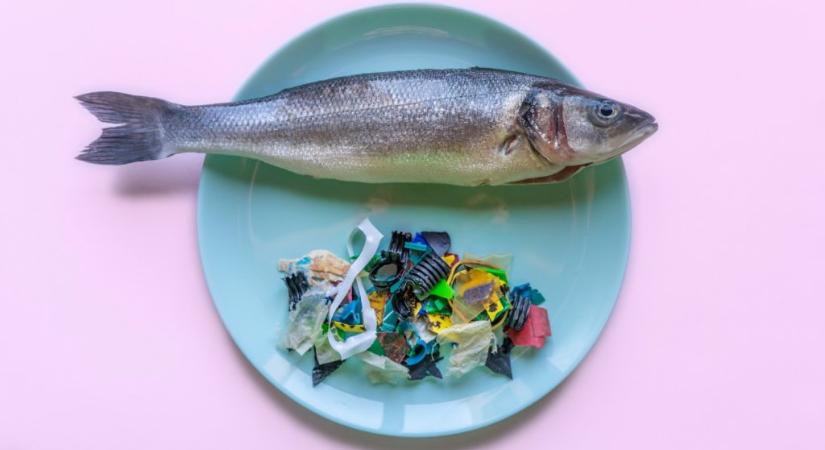 Egy új tanulmány szerint édesvízi halat enni olyan, mint mikroműanyagot kanalazni