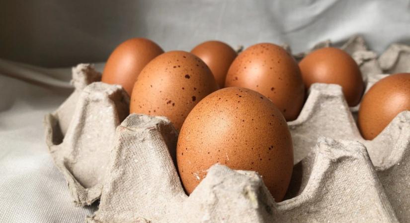 Figyelmeztet a szakács: Semmiképp se tedd a tojást a hűtőbe!