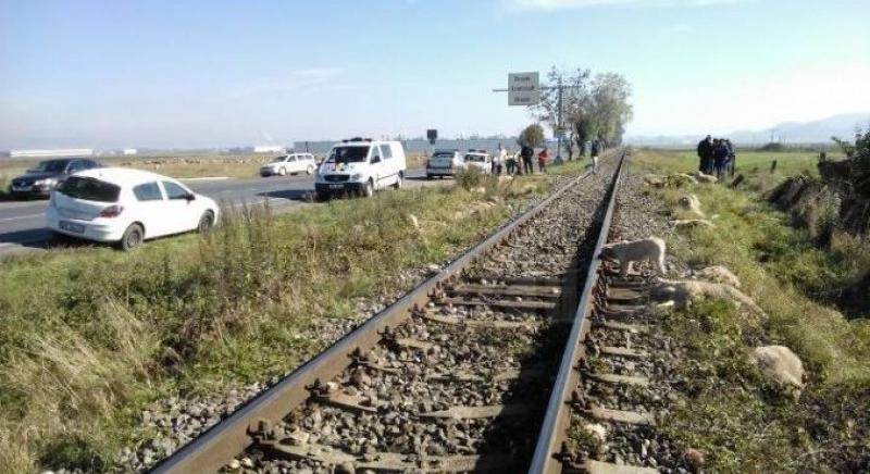 Juhnyájba rohant a vonat Erdélyben, a pásztor is meghalt a balesetben