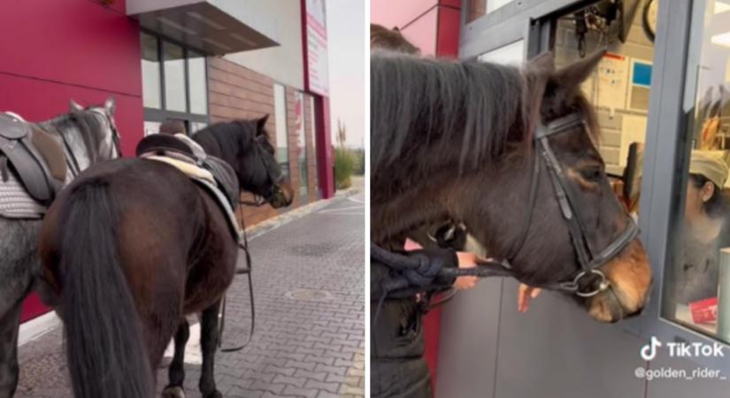 Videó: lovaival ment a solymári KFC autós kiszolgálójához egy lány