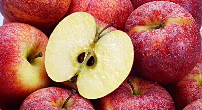 Észrevétlenül bújnak meg a tetvek a legszebb bolti almákon - Videó