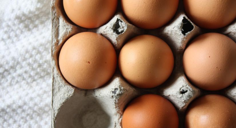 Biztonságos megenni a tojást, ha repedt a héja?