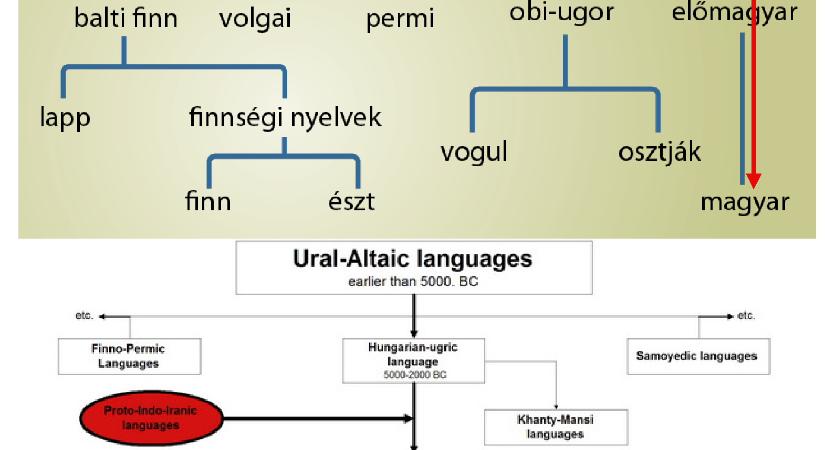 A magyar nyelv kialakulásának vizsgálati módszere