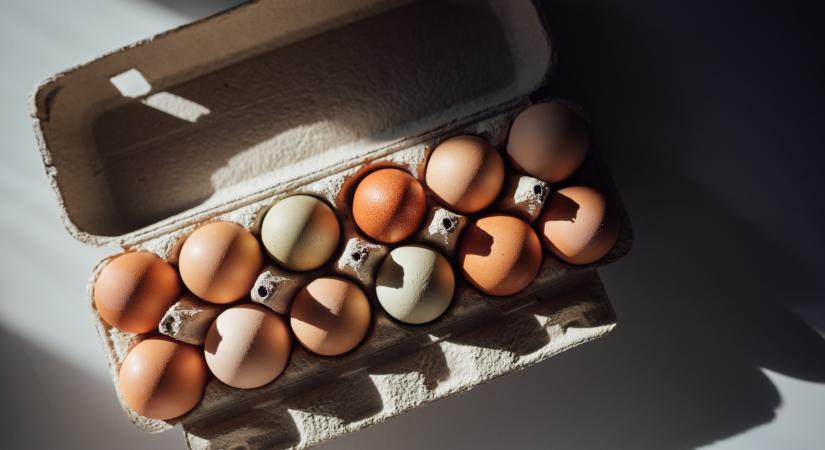 Eddig te is rosszul tároltad a tojást – így kell a séf szerint