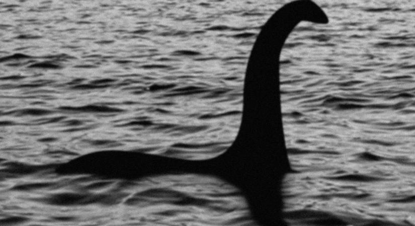 A Loch Ness-i szörny egy gigantikus angolna lehetett?