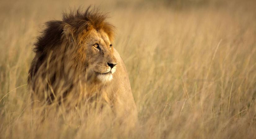 Íme Afrika legfenntarthatóbb szafarijai, ha utazása során fontos önnek a környezetvédelem