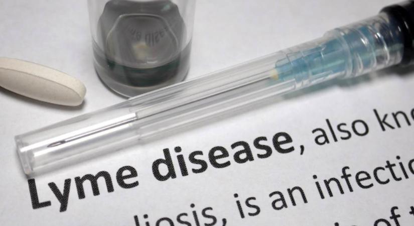Miért a Lyme-kór az egyik legnehezebben diagnosztizálható betegség?
