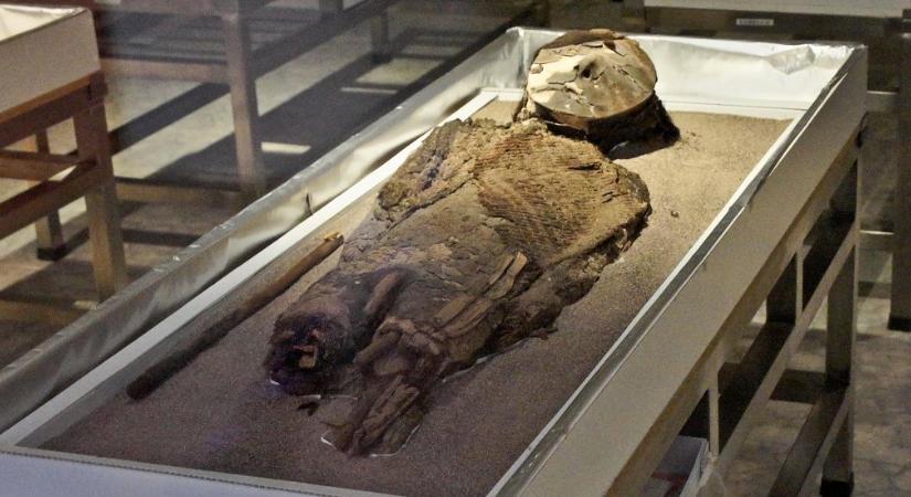 Mérgező múmiákat találtak, amik még az egyiptomi múmiáknál is több ezer évvel idősebbek