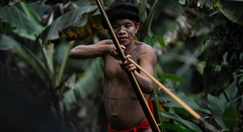 Az őslakosok fontos szerepet játszanak a brazíliai esőerdők védelmében