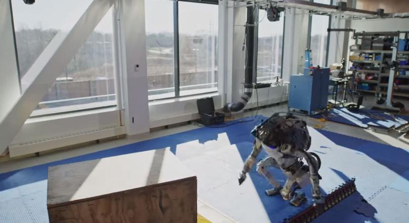 Hatalmasat zakózott a világ egyik legismertebb robotja