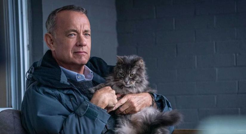 Családi produkcióval hódít most a hazai mozikban Tom Hanks