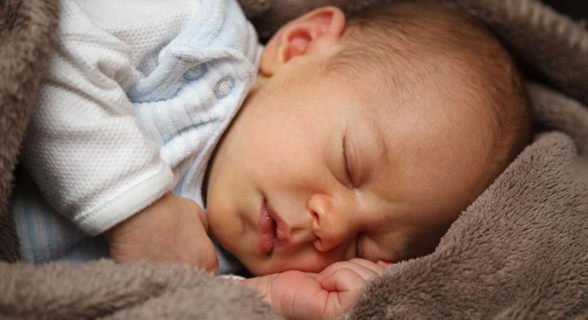 Gólyahír: velük gyarapodott Fejér vármegye az elmúlt napokban