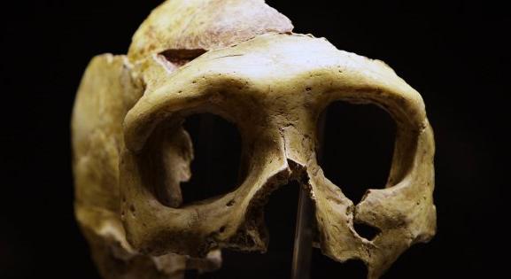 A tudósok rájöttek, miért halhatott ki a neandervölgyi ember