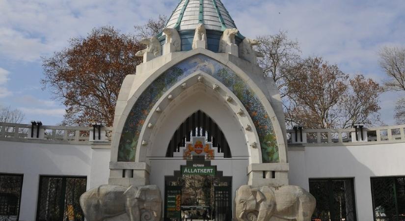 Farsangi programokkal várja a látogatókat a fővárosi állatkert hétvégén