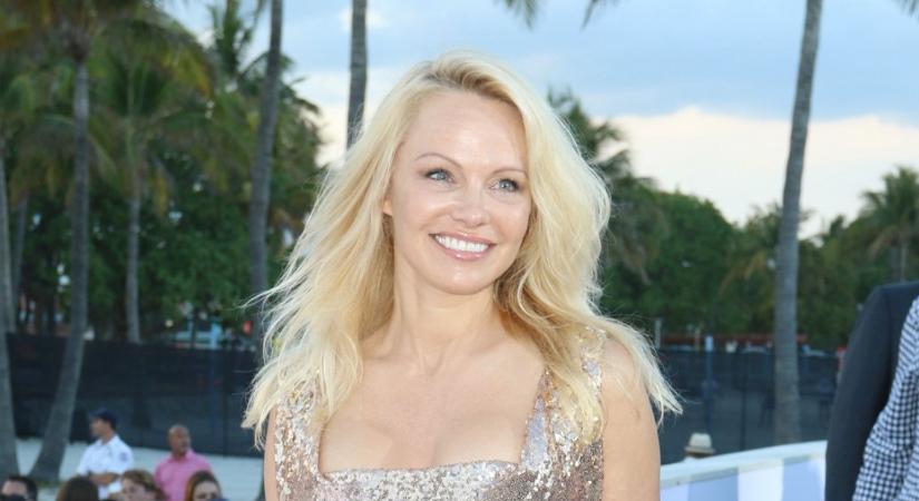 R*bancnak nevezte Pamela Andersont a volt férje egy cameo szerep miatt