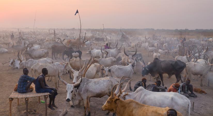 Pásztorok támadtak civilekre Dél-Szudánban, huszonhét ember meghalt