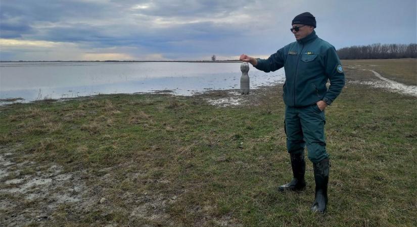 Felmérték a szikes tavak állapotát Bács-Kiskunban