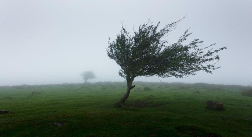 Továbbra is viharos szél tombol Vas vármegyében - Életveszélyes az erdőben tartózkodni