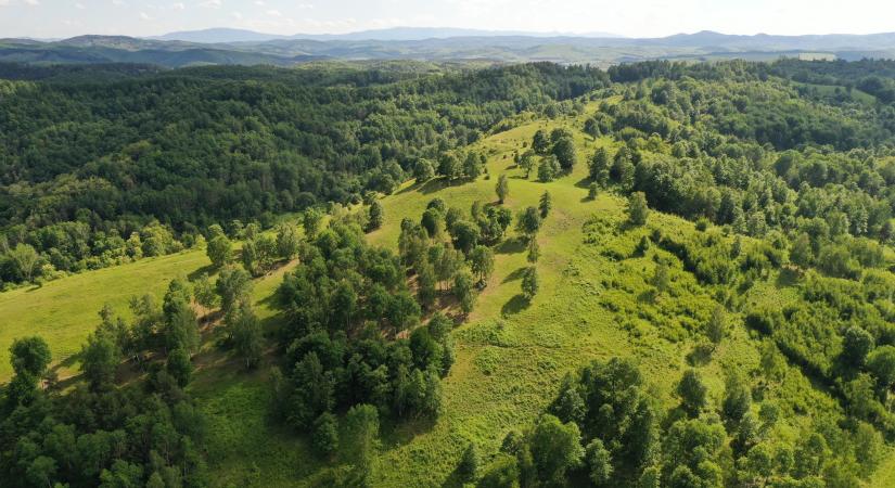 Magyar–szlovák együttműködés a természetvédelem érdekében