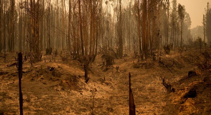 Legalább 23-an életüket vesztették a Chilében pusztító erdőtüzek miatt