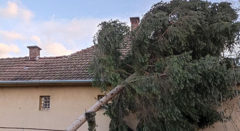 Harminchét településen okozott kárt a szélvihar Békés vármegyében - galériával