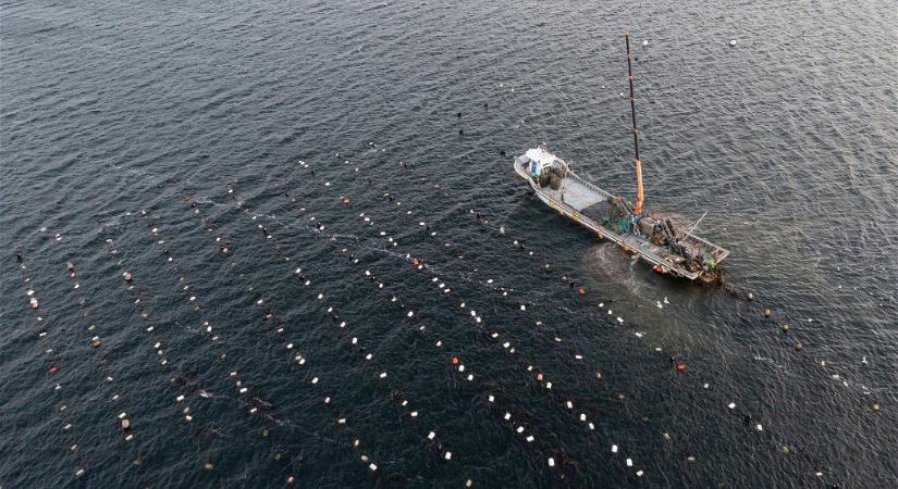 Felborult egy halászhajó Dél-Korea délnyugati partjainál, a legénység 9 tagja eltűnt