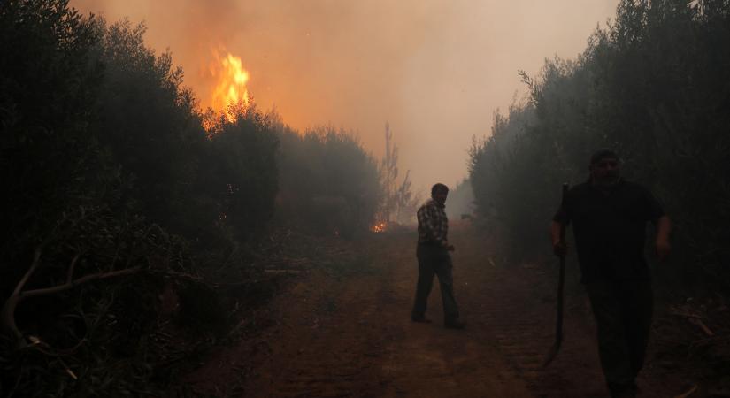 23 halálos áldozata van már a Chilében tomboló erdőtüzeknek