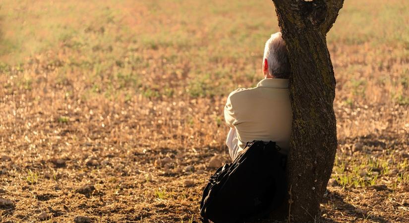 Új összefüggést találtak a társadalmi elszigeteltség és a demencia kockázati tényezői között