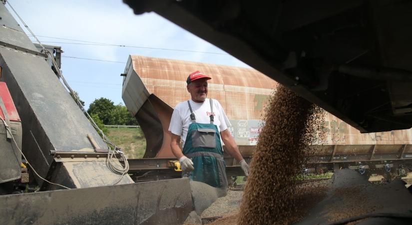 Letöri az árakat az ukrán gabona