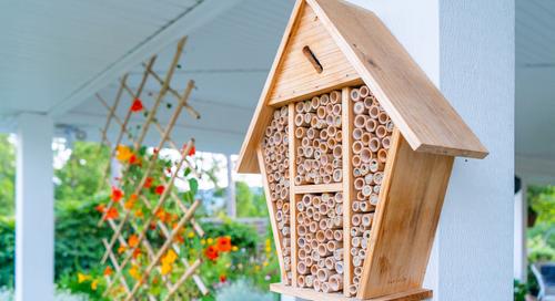 Méhecskehotelt minden erkélyre, kertbe!